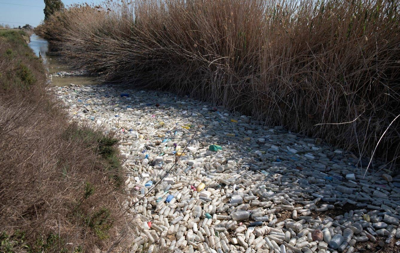 Acumulación de envases vacíos en el río Segura (Greenpeace)