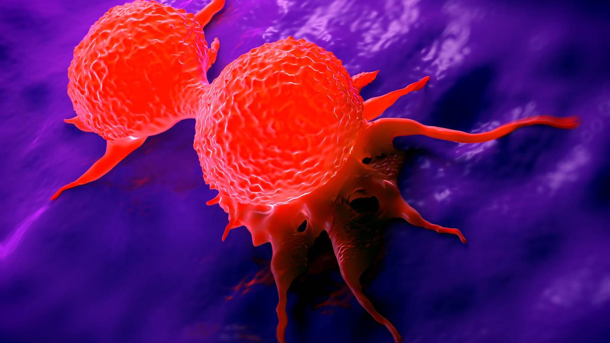 Crean un nuevo método, más rápido y fiable, para estudiar las células del cáncer