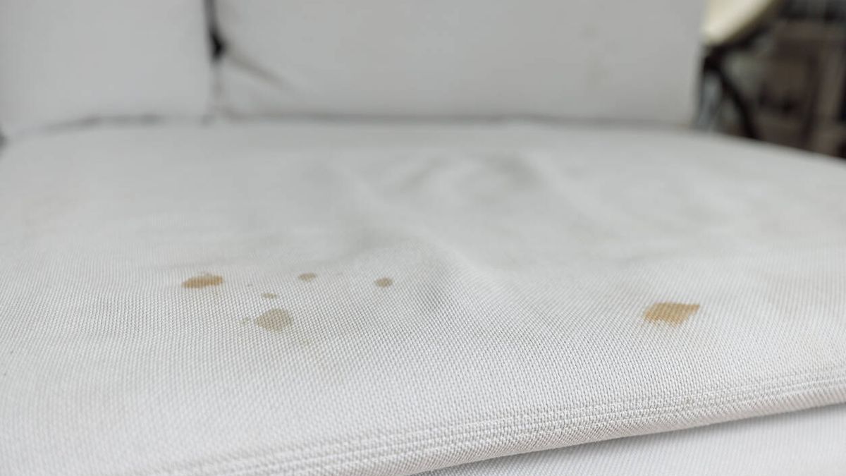 Cómo limpiar tu sillón de tela en seco: así puedes quitar la mancha sin mojarlo
