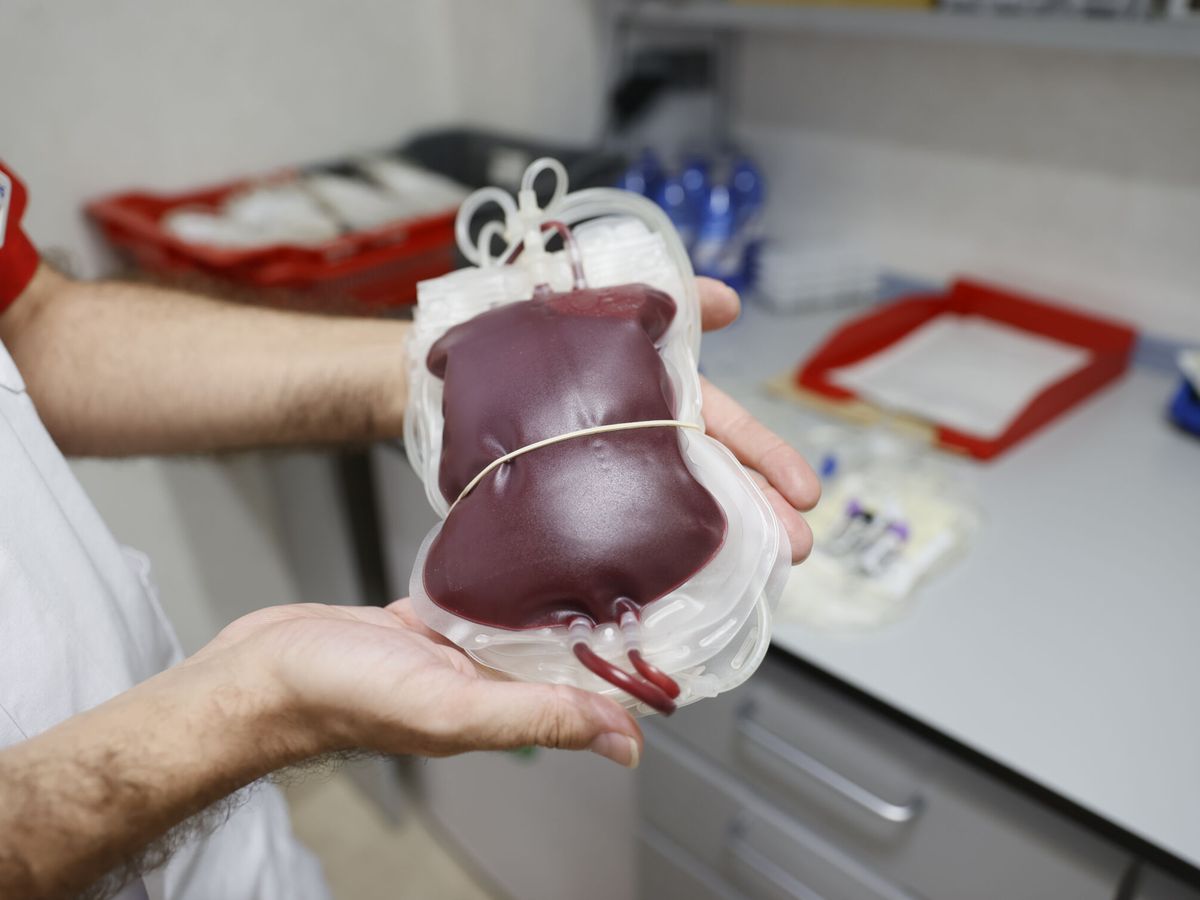Foto: Sangre donada en el hospital HM Sanchinarro. (EFE/Mariscal)