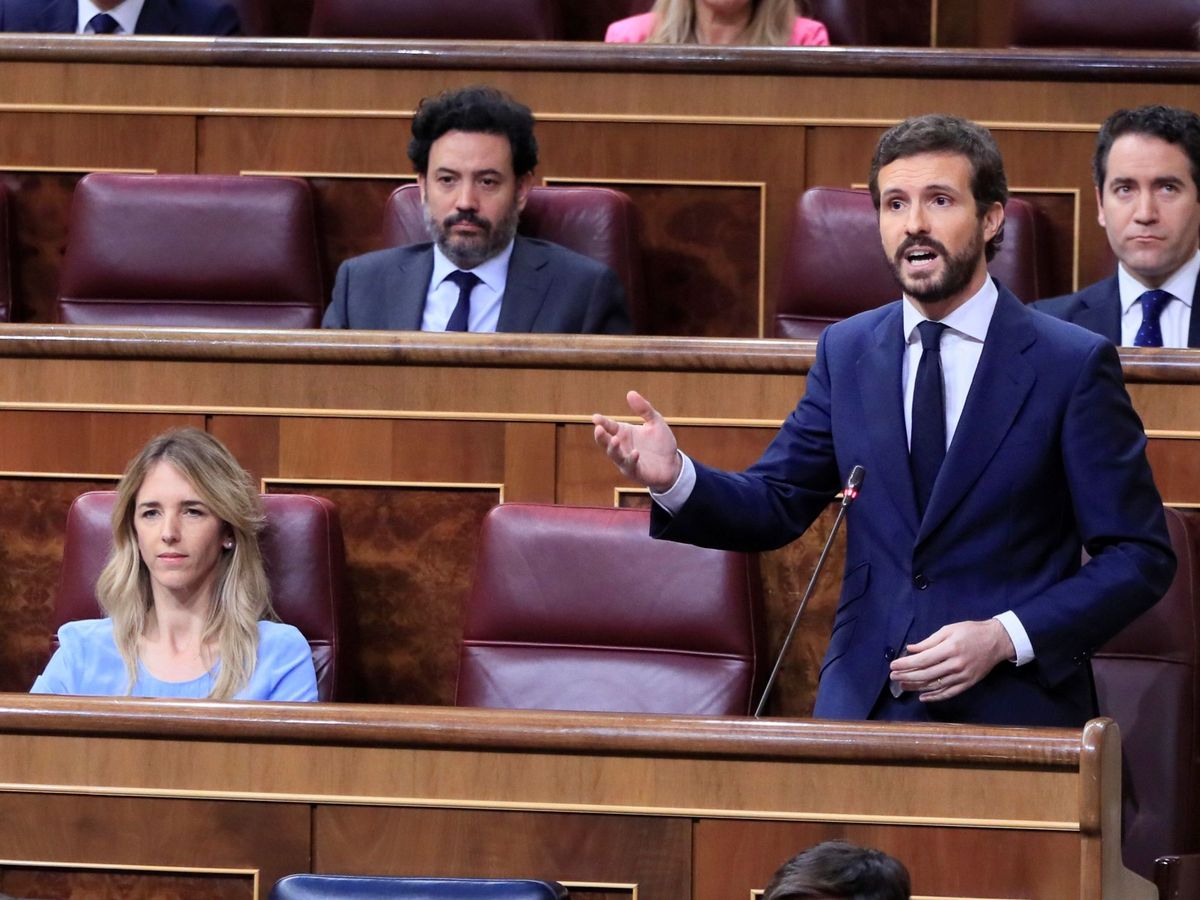 Foto: El líder del PP, Pablo Casado, durante su intervención en la sesión de control al Gobierno. (EFE)