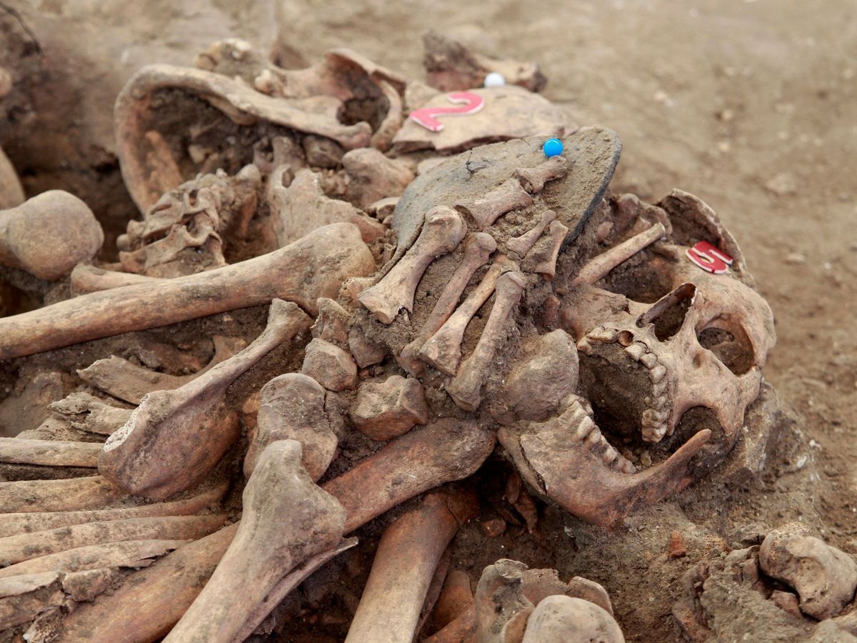 Foto: Algunos de los restos de al menos 10 represaliados del franquismo que ya han sido localizados en una fosa en el cementerio de Jimena de la Frontera en Cádiz. (EFE)