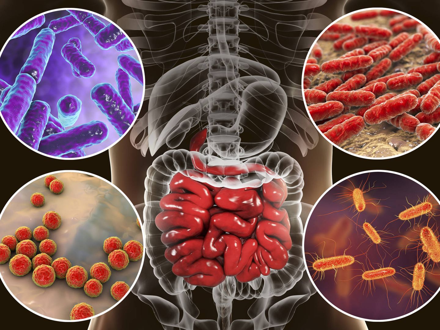 Al dañarse el microbioma se repercutiría en el adecuado desarrollo del sistema inmunológico (Foto: iStock)