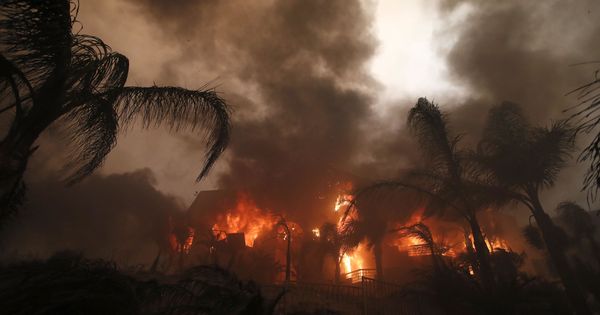 Foto: Los incendios en el sur de California calcinan miles de hectáreas. (Reuters)