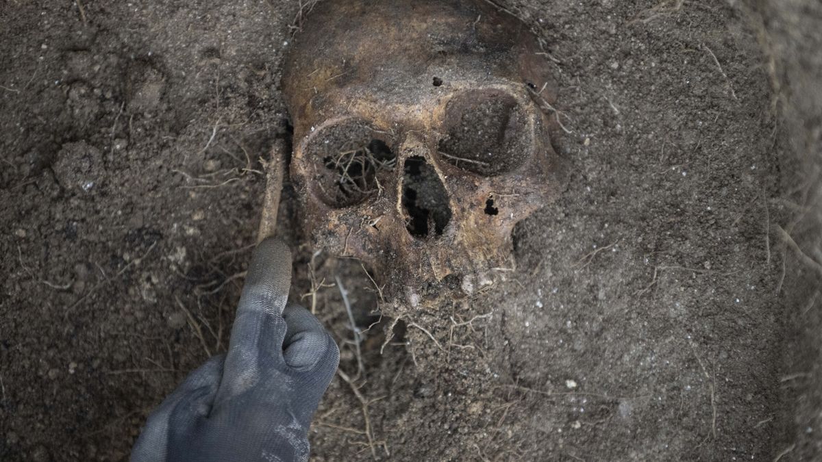 Las autoridades de México hallan cuatro cráneos humanos en una aduana