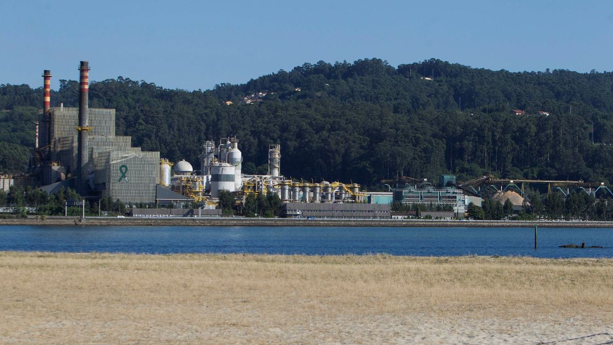 El Supremo valida la fábrica de Ence en la ría de Pontevedra y dispara su acción un 27%