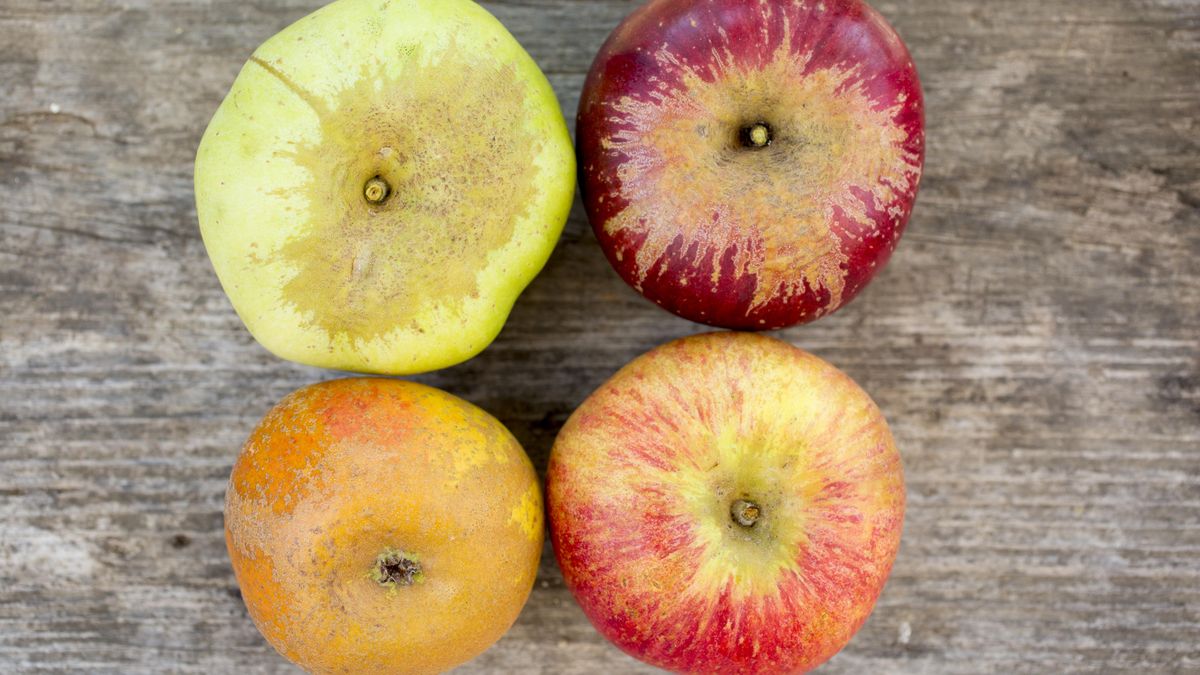 Las calorías que tiene la fruta, según si se toma antes o después de las comidas