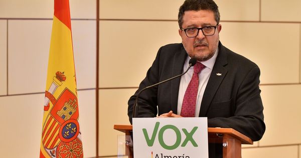 Foto: El portavoz del Grupo parlamentario de Vox en Andalucía, Francisco Serrano (EFE)