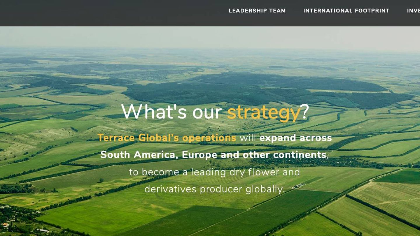 Una captura de la web de Terrace Global Inc. 