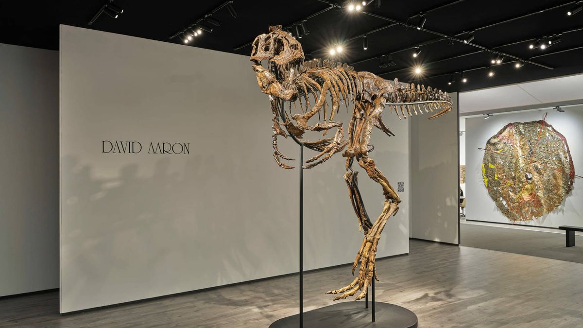 La guerra por demostrar si un esqueleto es un T-Rex desvela la última moda del coleccionismo 'kitsch'