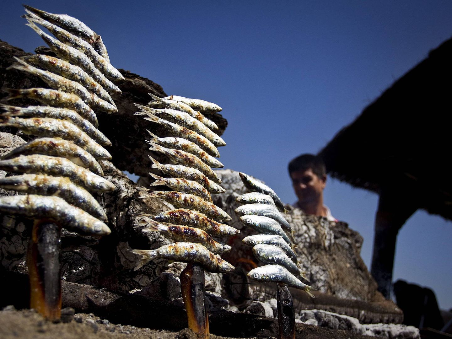 Los espetos de sardinas constituyen uno de los platos más demandados de los chiringuitos de la Costa del Sol (EFE).