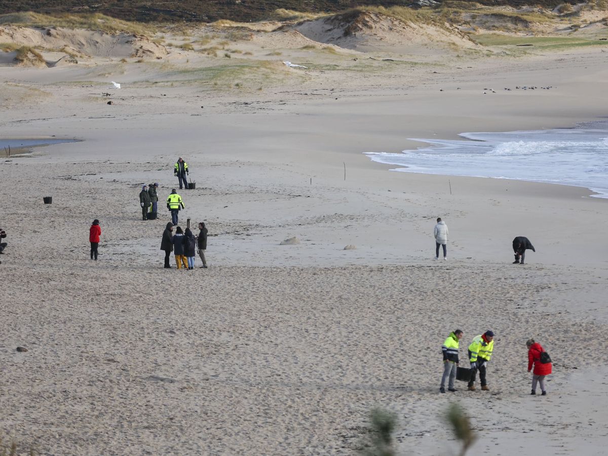 Foto: Varios grupos de operarios trabajando en una playa gallega en Muros. (EFE/Sxenick)