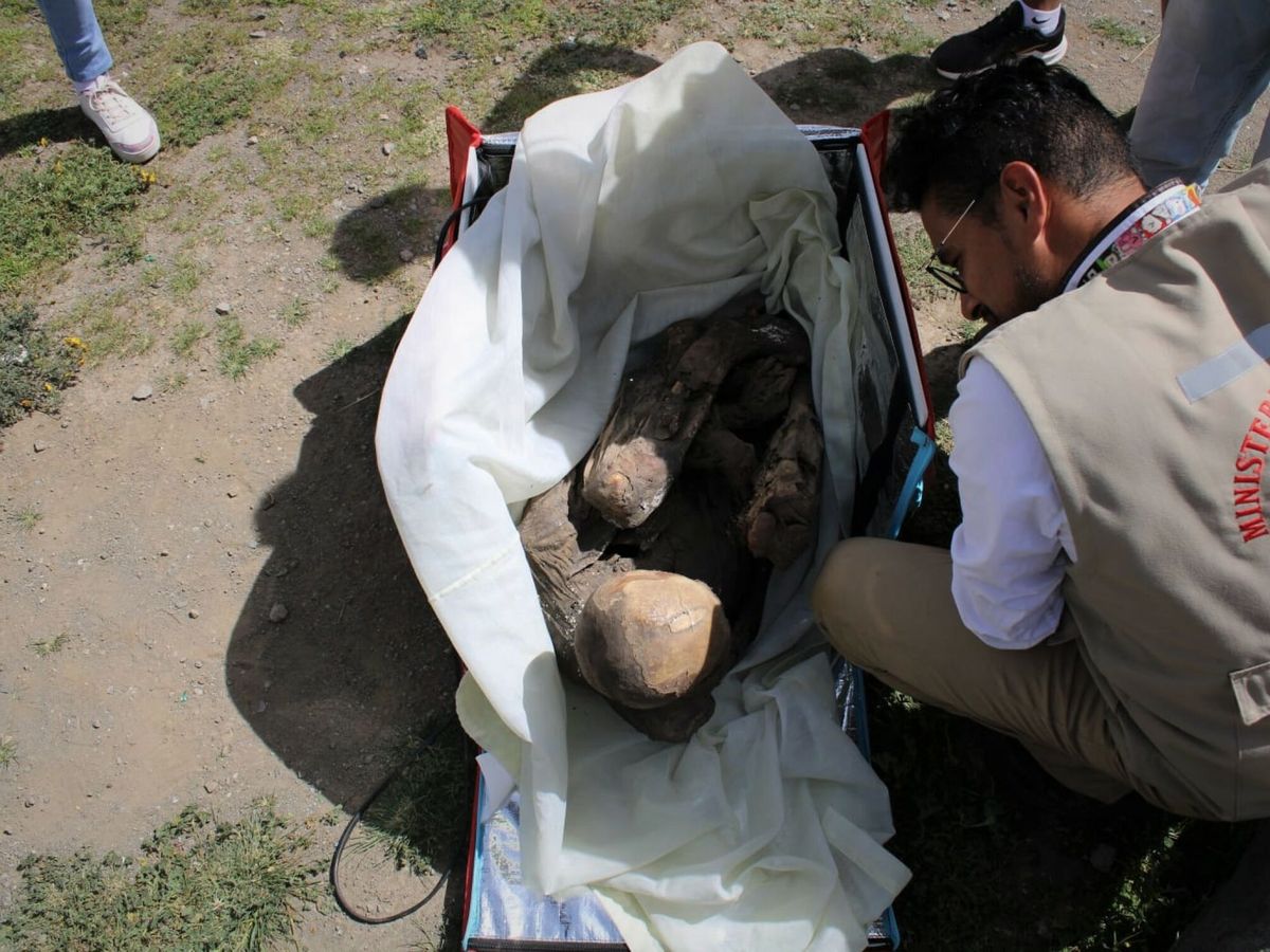 Foto: Hallan una momia prehispánica en mochila de repartidor en Perú. (EFE/Ministerio de Cultura de Perú)