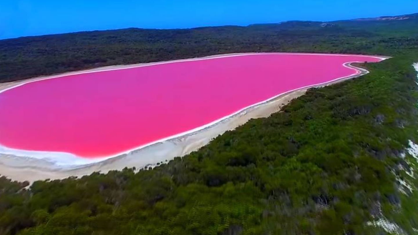  El color rosado del lago quizá se debe a las bacterias.