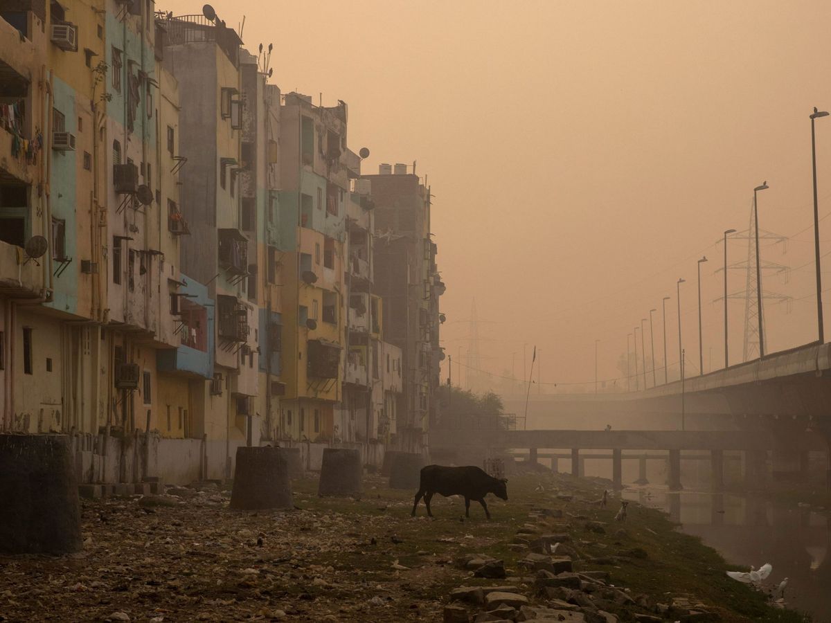 Foto: Un área residencial rodeada de smog en Nueva Delhi, India. (Reuters)