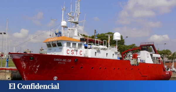 www.elconfidencial.com