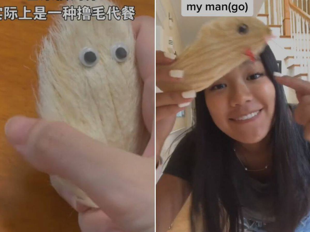 Foto: La insólita nueva mascota de moda entre los jóvenes de China: el hueso de un mango (TikTok/@chiiiiina_chiiiiina/@bribcheesin)