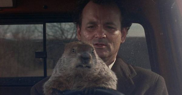 Foto: Bill Murray y la marmota en 'Atrapado en el tiempo'. (Sony)