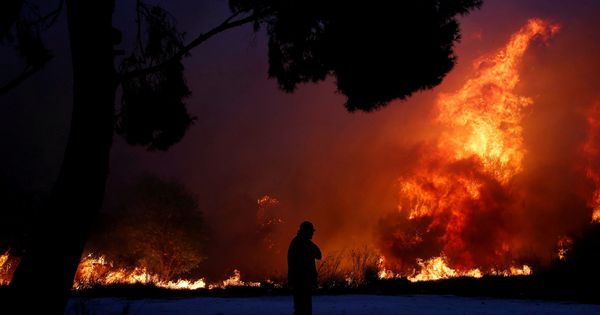Foto: A man looks at the flames as a wildfire burns in the town of rafina