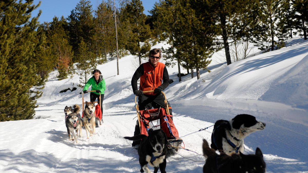 Esquiar con perros en Cataluña, un gran espectáculo del que debes disfrutar