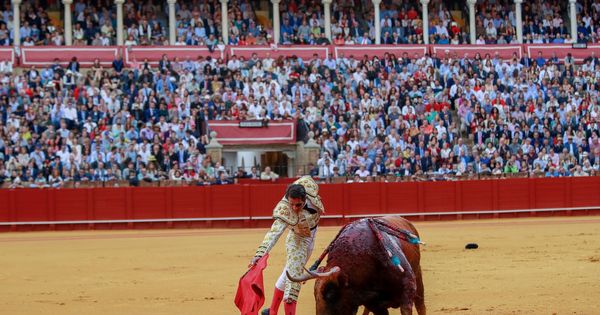 Foto: Una corrida de toros en la Maestranza (Sevilla). (EFE)