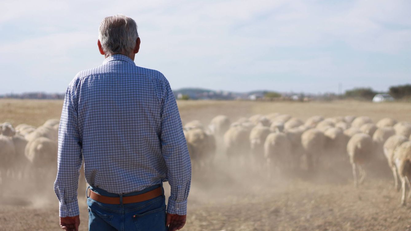 Foto: Ricardo Regalado, al frente de la quesería El Castúo, con sus ovejas. (A. F.)