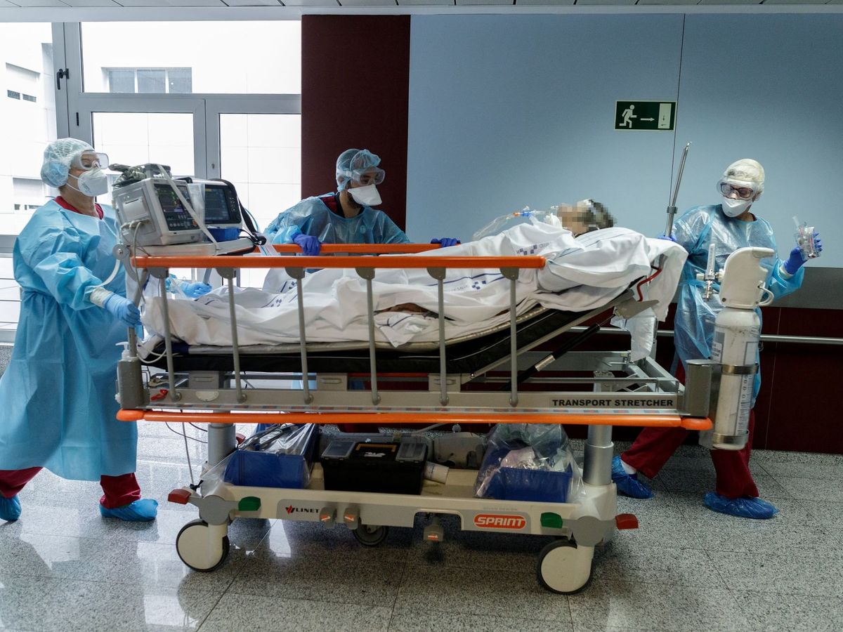 Foto: Sanitarios llevan a un enfermo de covid-19 en el Hospital Nuestra Señora de la Candelaria (Santa Cruz de Tenerife). (EFE) 