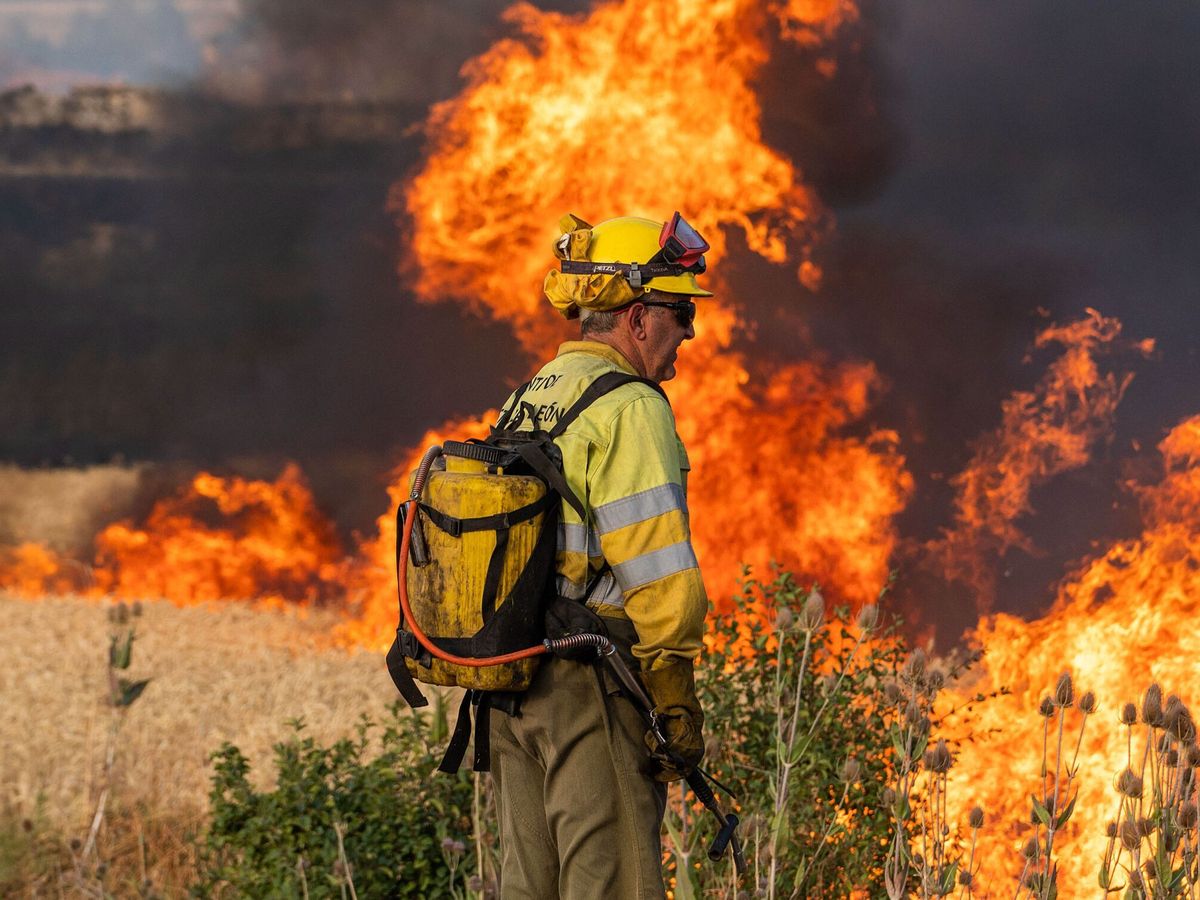 Foto: Un bombero forestal en el incendio de Quintanilla del Coco (Burgos). (EFE/Paco Santamaría)