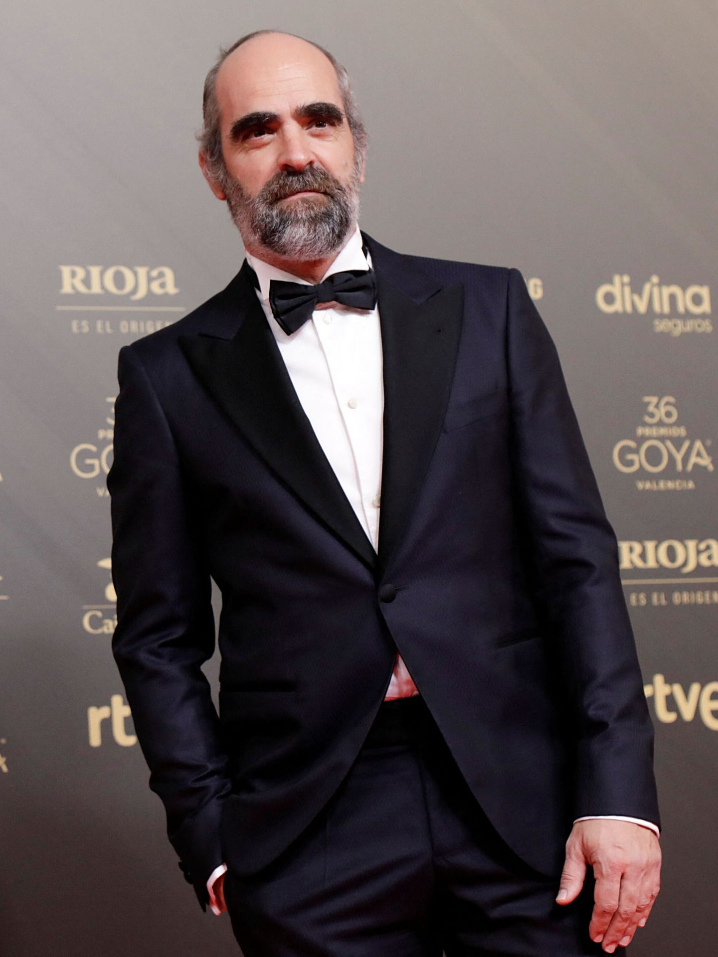 Luis Tosar, en la alfombra roja de los Premios Goya 2022. (Reuters)