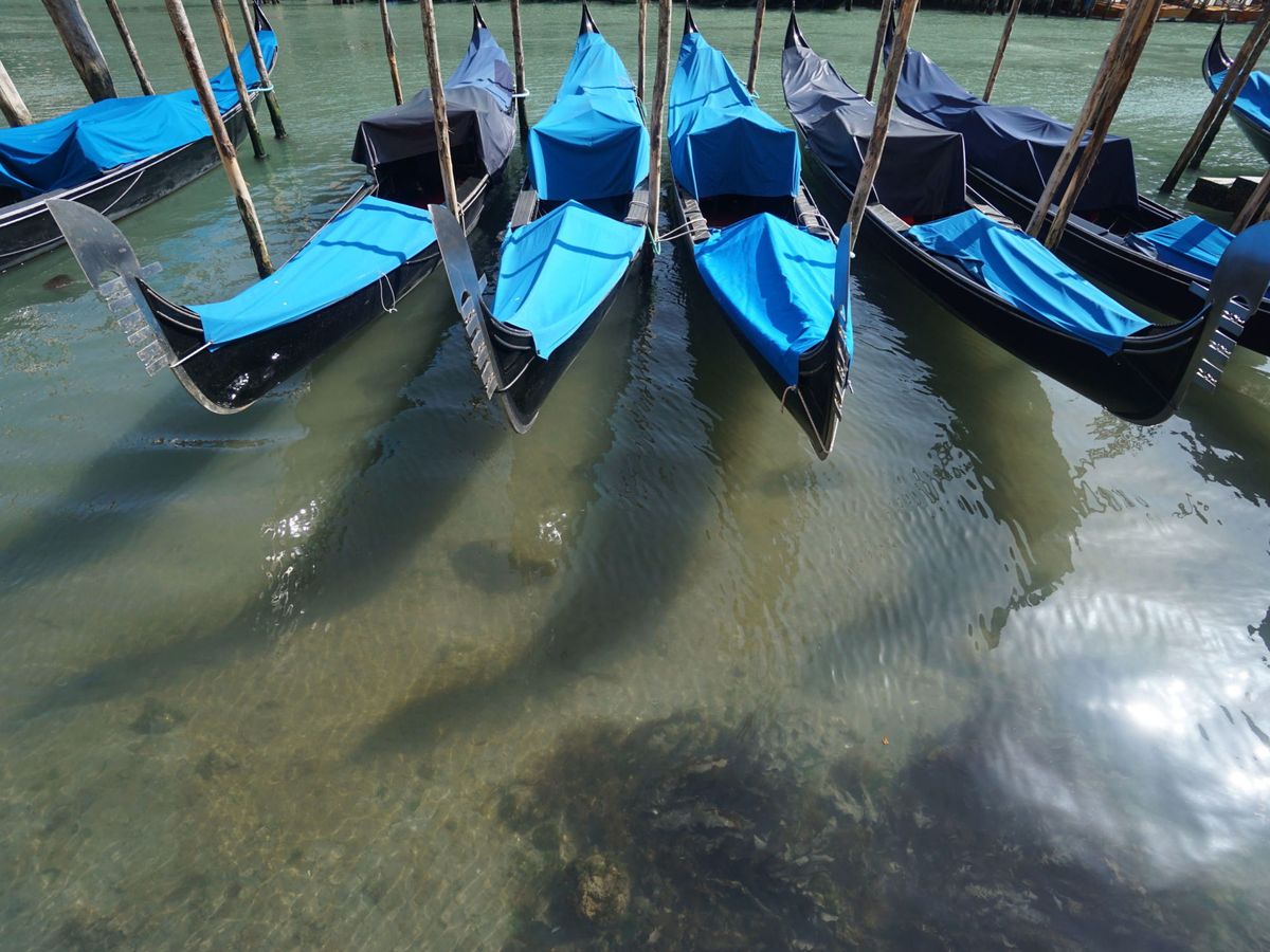 Foto: Aguas más claras en Venecia, fruto de la ausencia de barcos en los canales de la ciudad. (EFE)