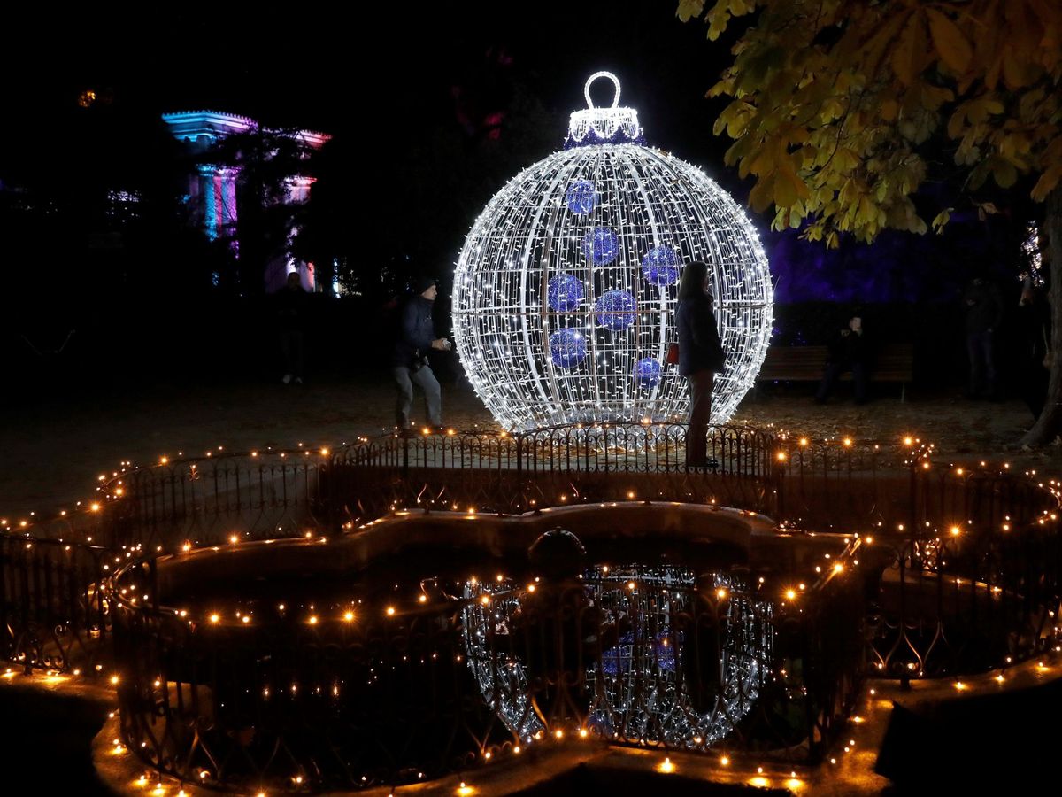 Foto:  Detalle del espectáculo 'Las Luces del Real Jardín Botánico' en 2019. (EFE)