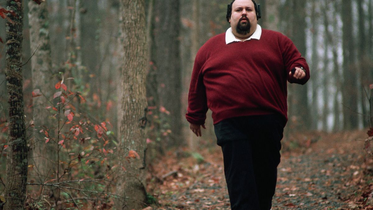 Cinco causas que explican la obesidad (y la comida basura no es una de ellas)