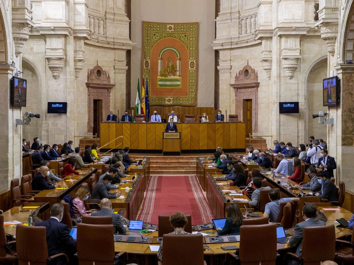 Foto: El Parlamento de Andalucía, durante un debate. (EFE)