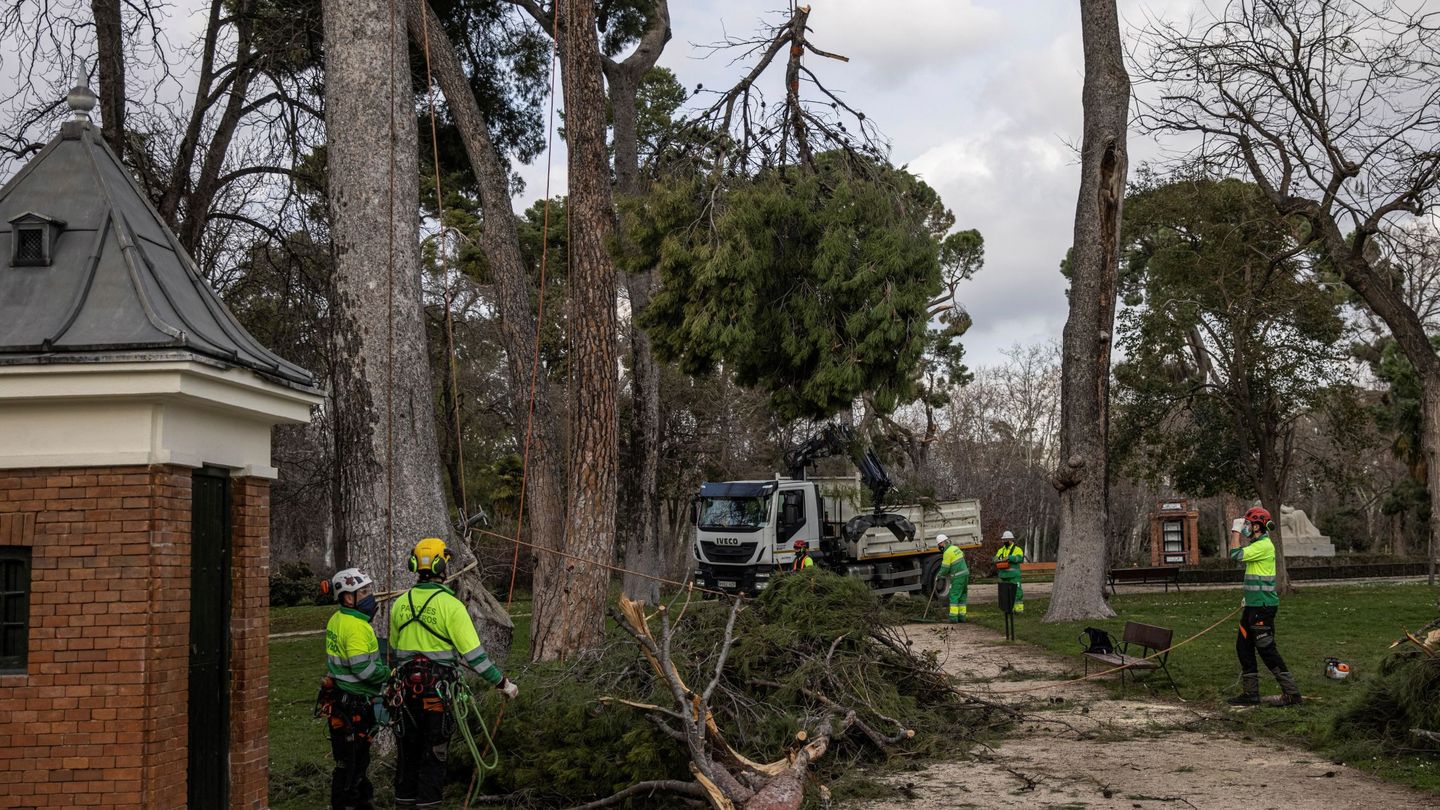 Trabajos de restauración en el Parque del Retiro tras el paso del temporal Filomena. (EFE/Jiménez)