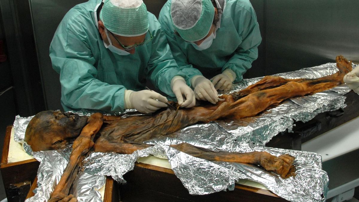 ¿Qué significan los 61 tatuajes de Otzi, la momia natural más antigua de Europa?