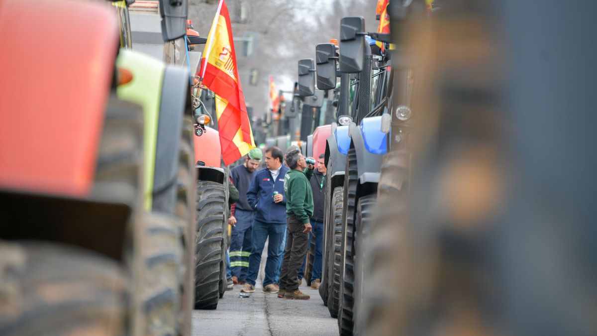 Qué es y quién está detrás de la Plataforma 6F, la impulsora de las protestas de los agricultores