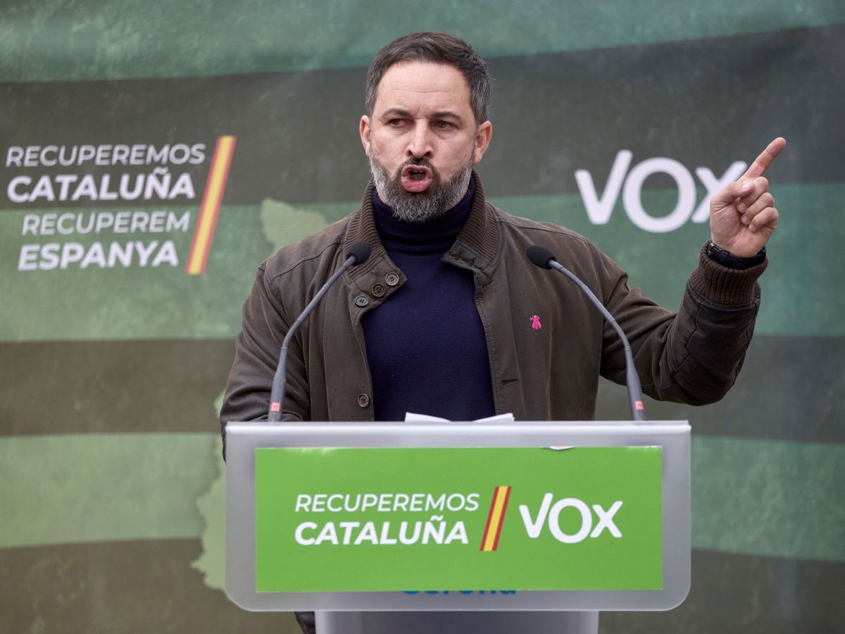 Foto: El líder de Vox, Santiago Abascal. (EFE)