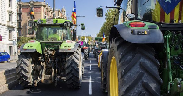 Foto: Tractores en defensa de los catalanes puedan votar el domingo. (EFE) 