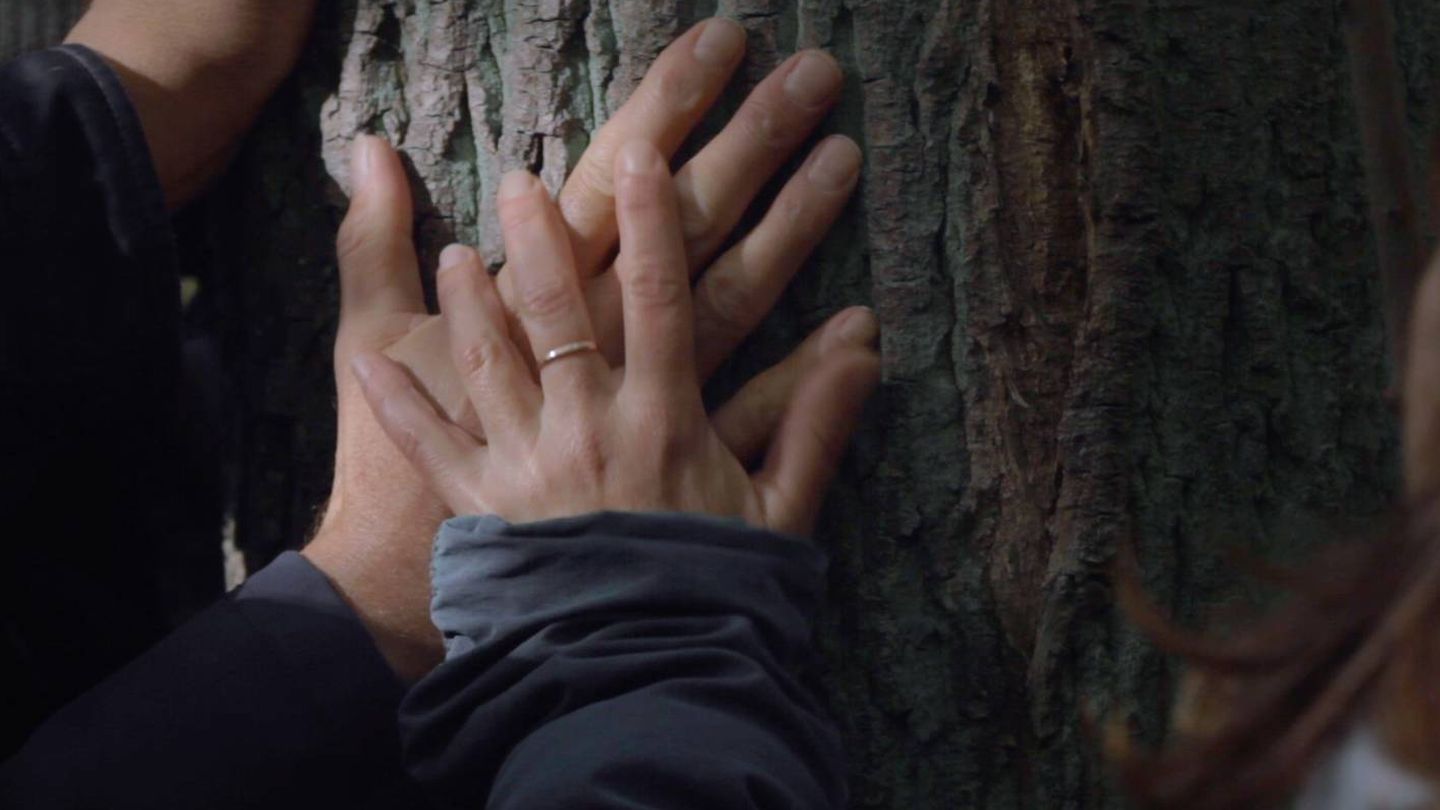 Imagen del vídeo 'Hasso, ahora soy árbol'.