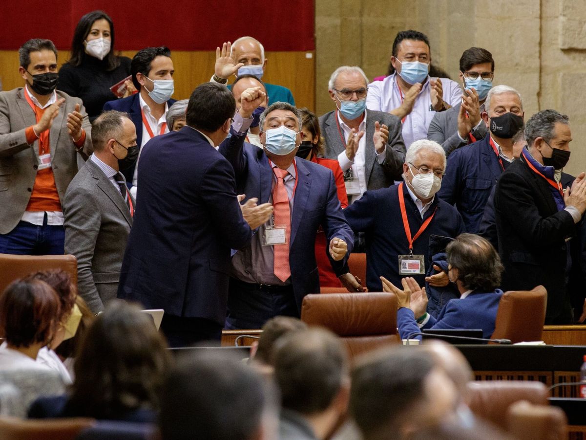 Foto: Un grupo de agricultores, en la tribuna de invitados del Parlamento andaluz, aplaude tras la votación. (EFE/Julio Muñoz)