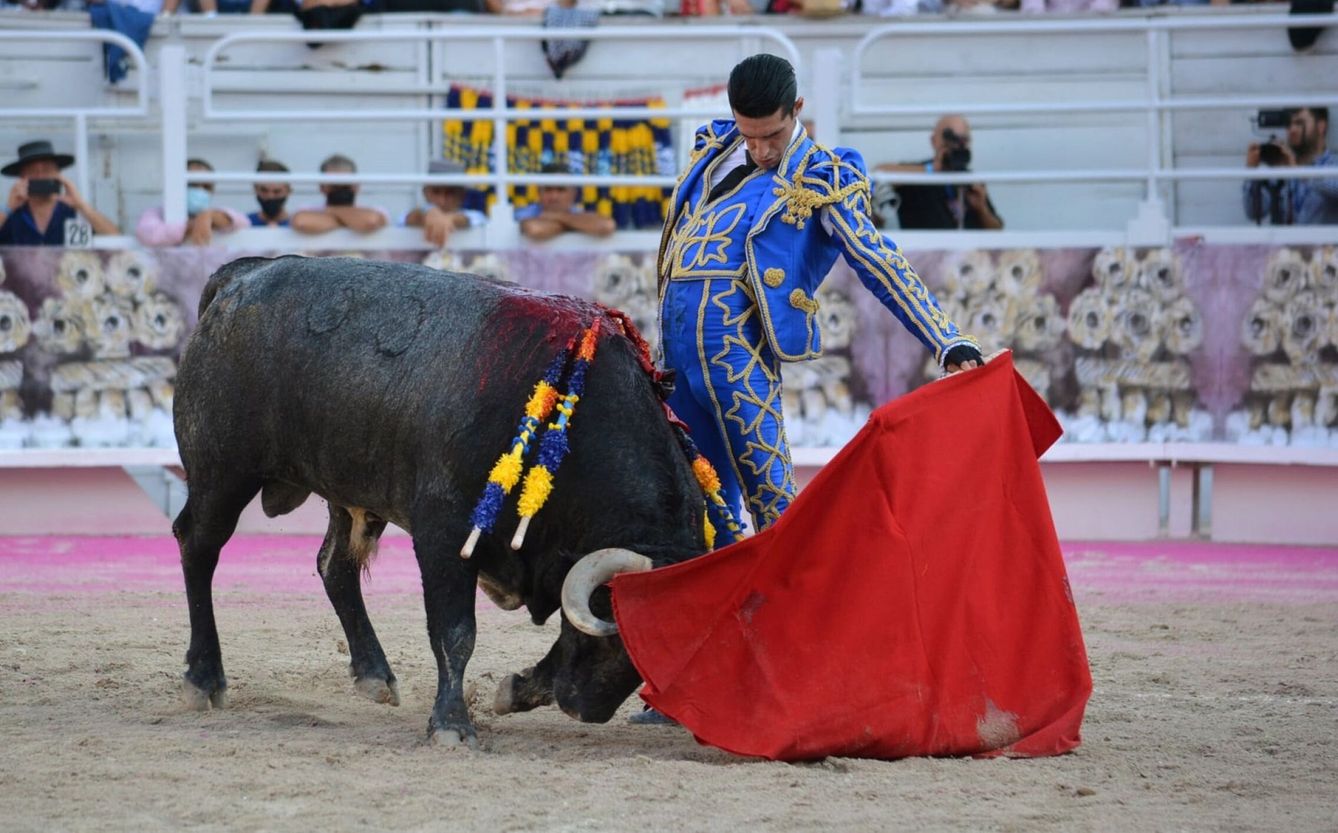 El torero Alejandro Talavante. (EFE)