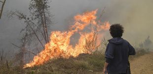 Post de Los incendios en Asturias obligan a cortar la autovía que la une con Galicia