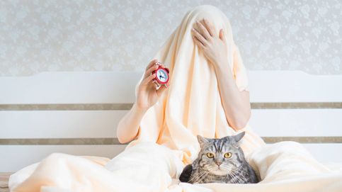 ¿Tu gato te despierta de madrugada? Estos consejos podrían ayudar a solucionarlo