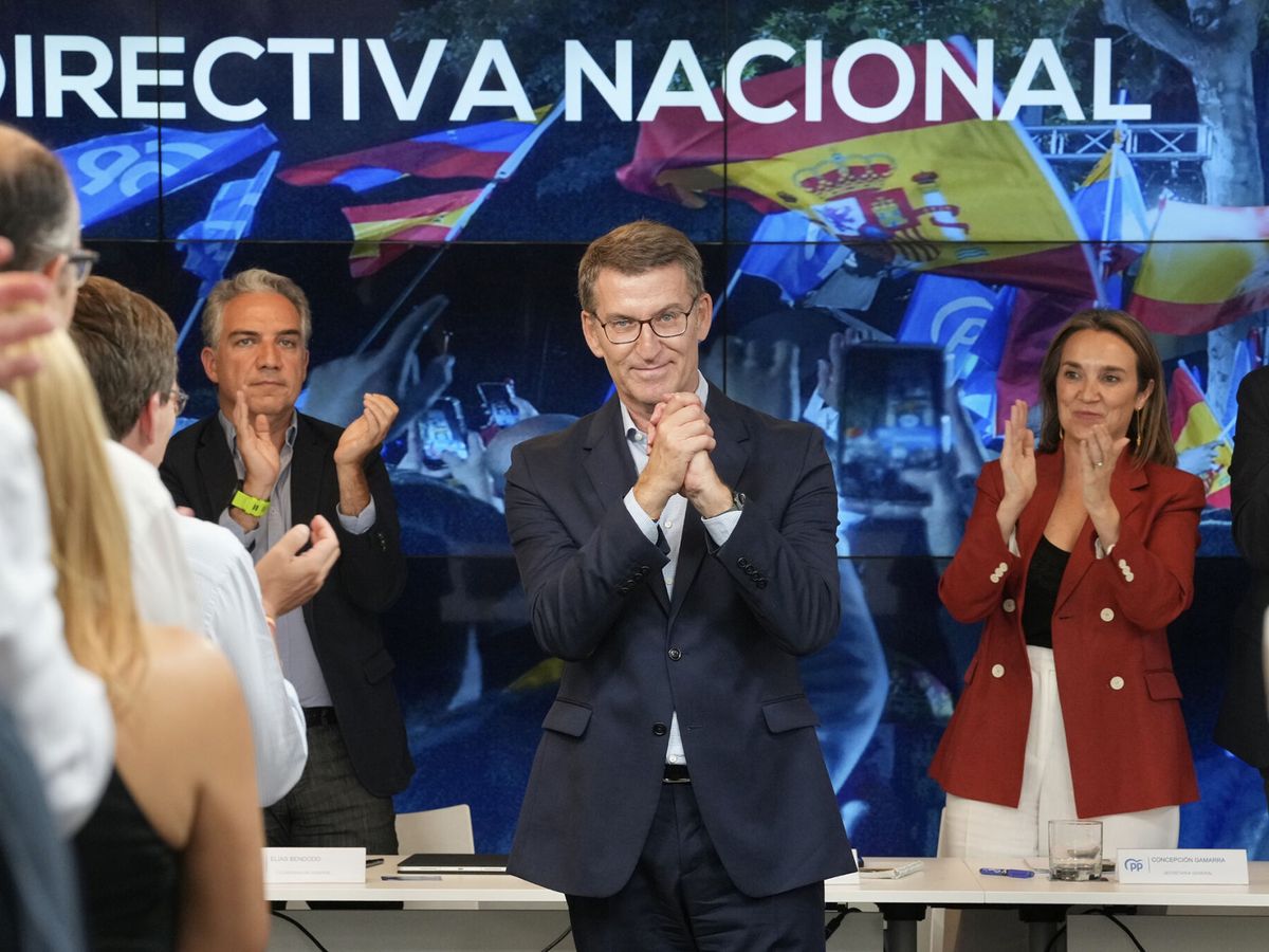 Foto: El líder del PP, Alberto Núñez Feijóo. (EFE/David Mudarra)