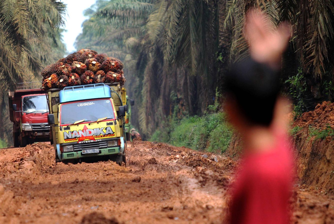 Varios camiones que transportan frutos destinados a aceite de palma en una carretera en malas condiciones en el sur de Sumatra, en enero de 2017. (Reuters)