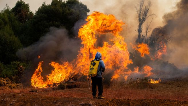 Foto de Cientos de damnificados por los incendios en Chile 