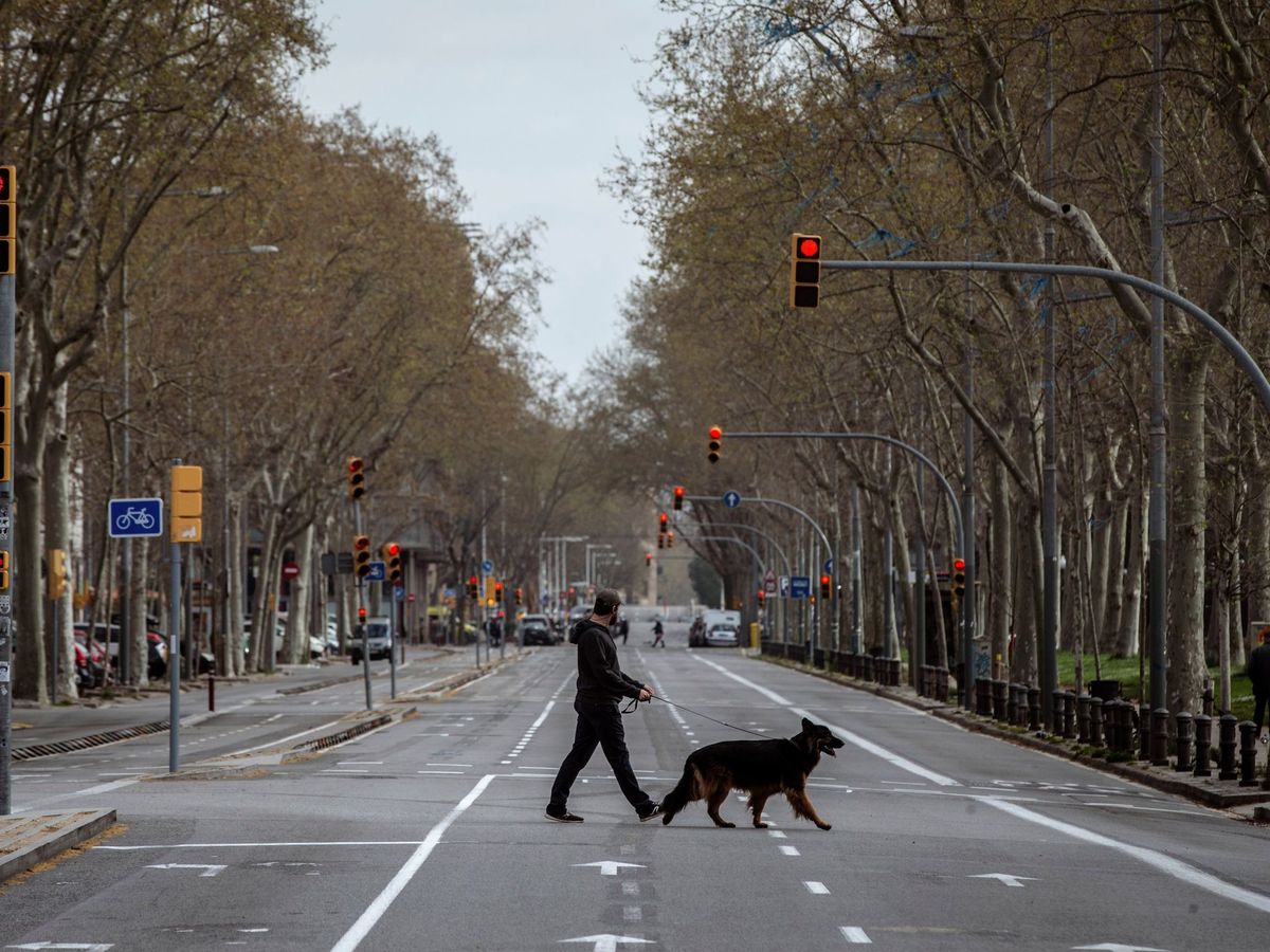 Foto: Un hombre pasea a su perro en Barcelona. (EFE)