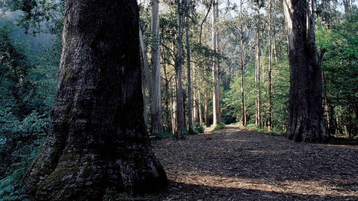 Historias de Galicia: el lugar de las miradas perdidas