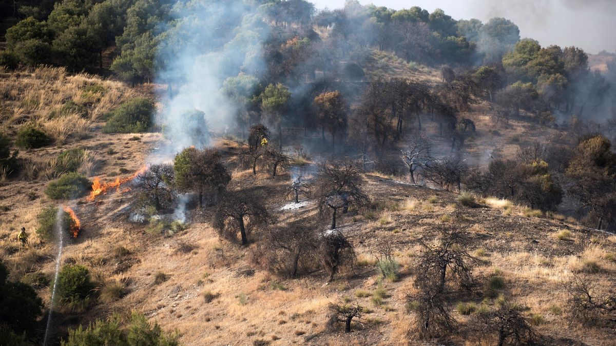 Declarado un incendio en una zona forestal del Sacromonte (Granada)