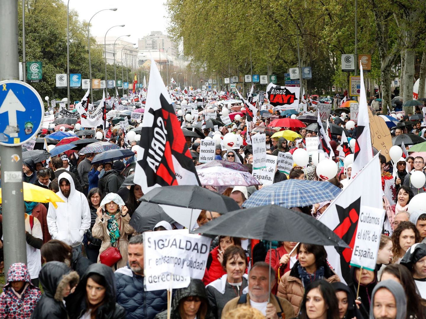 Afluencia masiva a la marcha en Madrid. (EFE)